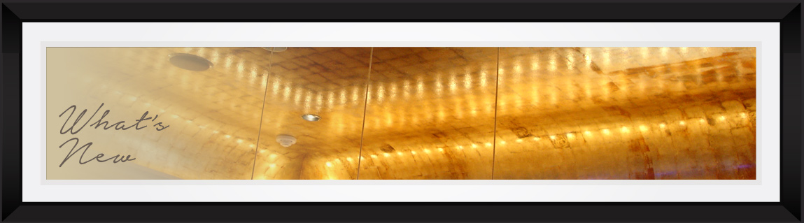 Meet The Artist What's New